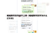 蝙蝠聊天软件连不上网（蝙蝠聊天软件为什么打不开）
