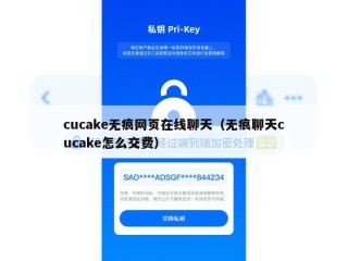 cucake无痕网页在线聊天（无痕聊天cucake怎么交费）