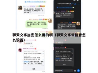 聊天文字加密怎么用的啊（聊天文字带拼音怎么设置）