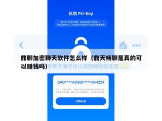 鼎聊加密聊天软件怎么样（鼎天畅聊是真的可以赚钱吗）