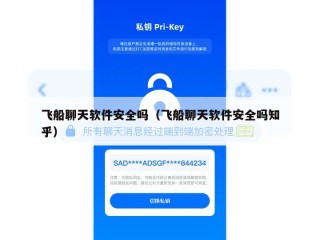 飞船聊天软件安全吗（飞船聊天软件安全吗知乎）