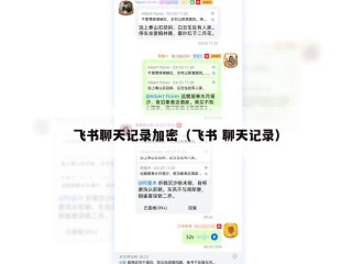 飞书聊天记录加密（飞书 聊天记录）