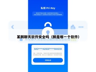 某鹅聊天软件安全吗（鹅是哪一个软件）