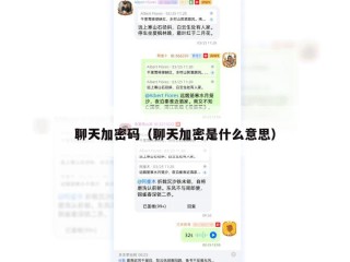 聊天加密码（聊天加密是什么意思）