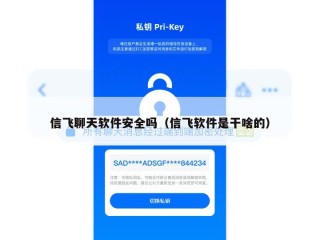 信飞聊天软件安全吗（信飞软件是干啥的）