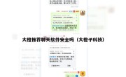 大橙推荐聊天软件安全吗（大橙子科技）