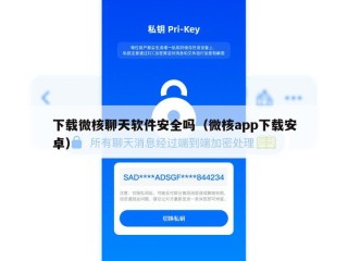 下载微核聊天软件安全吗（微核app下载安卓）