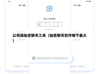 公司级加密聊天工具（加密聊天软件哪个最火）