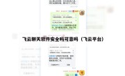 飞云聊天软件安全吗可靠吗（飞云平台）