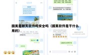 国美是聊天软件吗安全吗（国美软件是干什么用的）