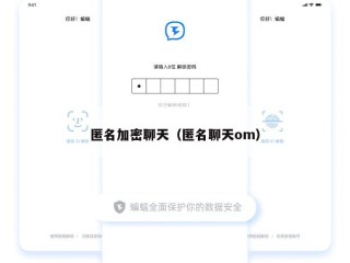 匿名加密聊天（匿名聊天om）