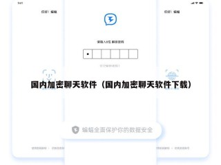 国内加密聊天软件（国内加密聊天软件下载）