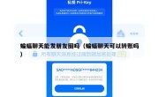 蝙蝠聊天能发朋友圈吗（蝙蝠聊天可以转账吗）