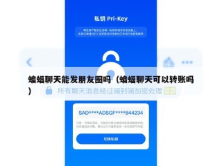 蝙蝠聊天能发朋友圈吗（蝙蝠聊天可以转账吗）