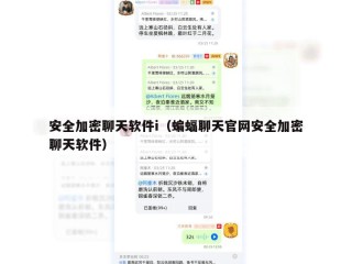 安全加密聊天软件i（蝙蝠聊天官网安全加密聊天软件）