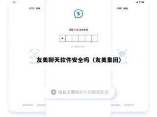 友美聊天软件安全吗（友美集团）