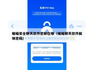 蝙蝠安全聊天软件密聊在哪（蝙蝠聊天软件解锁密码）