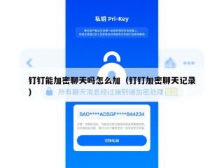 钉钉能加密聊天吗怎么加（钉钉加密聊天记录）