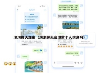 泡泡聊天加密（泡泡聊天会泄露个人信息吗）