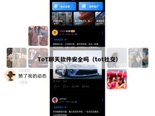 ToT聊天软件安全吗（tot社交）