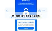 萝卜密聊（萝卜密聊是什么东西）