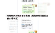 蝙蝠聊天为什么不能发图（蝙蝠聊天发图片为什么看不见）