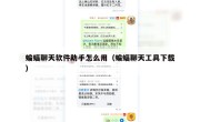 蝙蝠聊天软件助手怎么用（蝙蝠聊天工具下载）