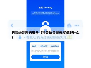 抖音语音聊天安全（抖音语音聊天室是聊什么）