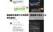 蝙蝠聊天是哪个公司出的（蝙蝠聊天是哪个公司开发的）