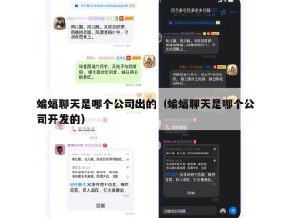 蝙蝠聊天是哪个公司出的（蝙蝠聊天是哪个公司开发的）