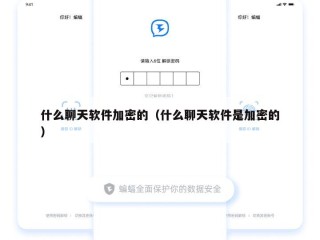 什么聊天软件加密的（什么聊天软件是加密的）