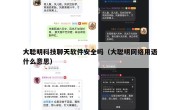 大聪明科技聊天软件安全吗（大聪明网络用语什么意思）