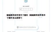 蝙蝠聊天软件发不了图片（蝙蝠聊天软件发不了图片怎么回事?）