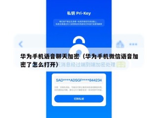 华为手机语音聊天加密（华为手机微信语音加密了怎么打开）
