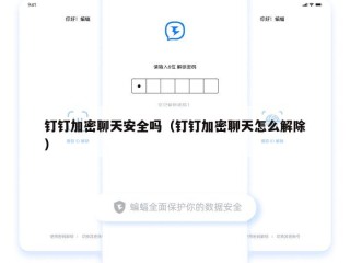 钉钉加密聊天安全吗（钉钉加密聊天怎么解除）