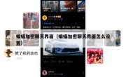 蝙蝠加密聊天界面（蝙蝠加密聊天界面怎么设置）