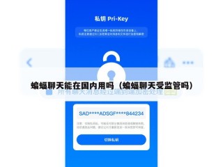 蝙蝠聊天能在国内用吗（蝙蝠聊天受监管吗）