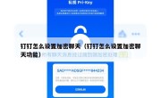 钉钉怎么设置加密聊天（钉钉怎么设置加密聊天功能）