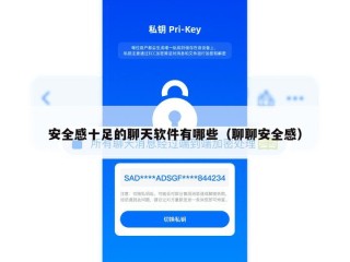 安全感十足的聊天软件有哪些（聊聊安全感）
