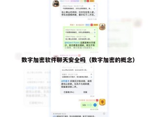 数字加密软件聊天安全吗（数字加密的概念）