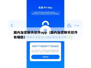 国内加密聊天软件app（国内加密聊天软件有哪些）