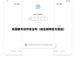 鲸探聊天软件安全吗（鲸选探物官方微信）