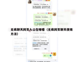 无痕聊天网页入口在哪看（无痕网页聊天使用方法）