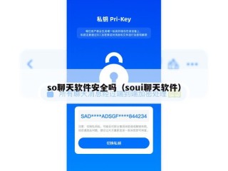 so聊天软件安全吗（soui聊天软件）