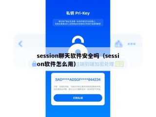 session聊天软件安全吗（session软件怎么用）