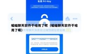 蝙蝠聊天软件干啥用了呢（蝙蝠聊天软件干啥用了呢）