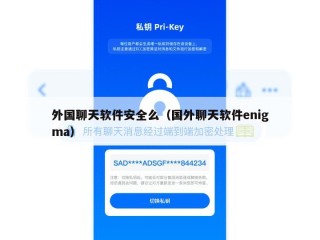 外国聊天软件安全么（国外聊天软件enigma）