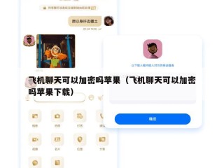 飞机聊天可以加密吗苹果（飞机聊天可以加密吗苹果下载）