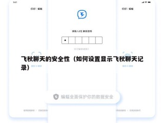 飞秋聊天的安全性（如何设置显示飞秋聊天记录）