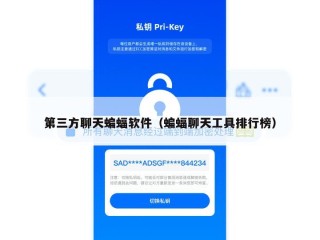 第三方聊天蝙蝠软件（蝙蝠聊天工具排行榜）